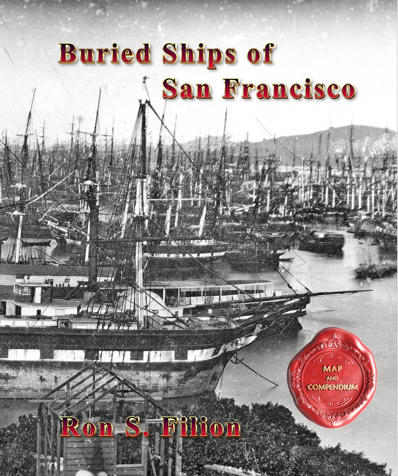 Buried Ships of San Francisco book cover